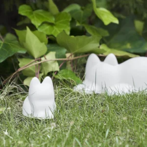 Katino forma alternate image