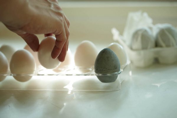soil džiovinimo kiaušinis sugeria drėgmę ir kvapus šaldytuve