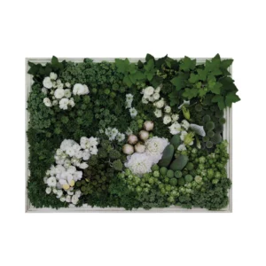 uka nagų aliejus (5 ml) alternate image