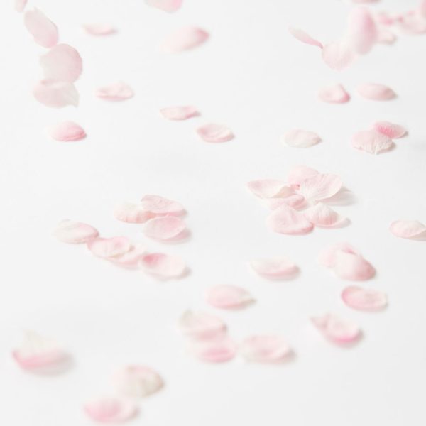 kaze guruma magnetukas sakura rožinis